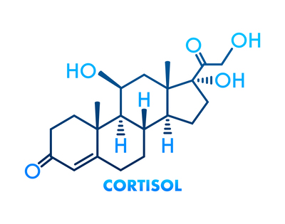 Afbraak van cortisol verloopt langzamer bij fibromyalgiepatiënten